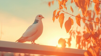 Fototapeta premium Sunset serenity white pigeon at dusk on a railing nature tranquil atmosphere soft light