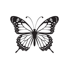 Elegant Butterfly Silhouette - Black and White Design