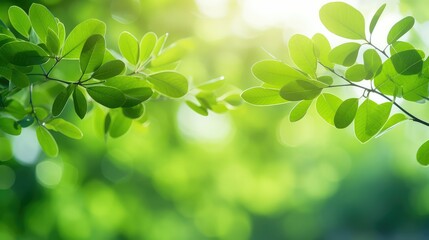 Naklejka premium vibrant leaves bokeh