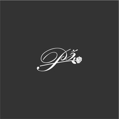 Initial PZ art illustration flower design creative