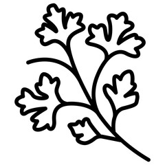 Coriander Vector Icon