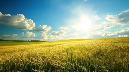 green field and blue sky