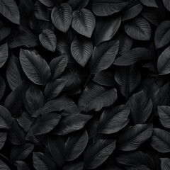 leaves on black background