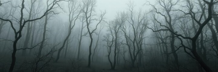 Obraz premium Eerie fog settles over a dark and twisted forest, creating a mysterious and haunting atmosphere, enchanted, mysterious, landscape