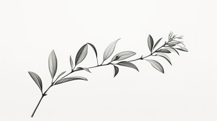 Naklejka premium sleek coffee plant illustration