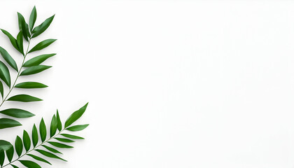 Green leafy branches on white backdrop for minimalist design element background. Generative AI