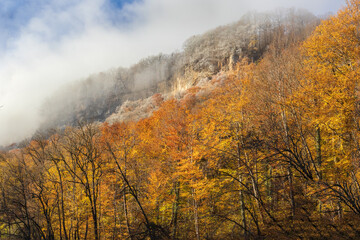 morning in a mountainous area, frost fell on the trees, the first rays of the sun awaken nature