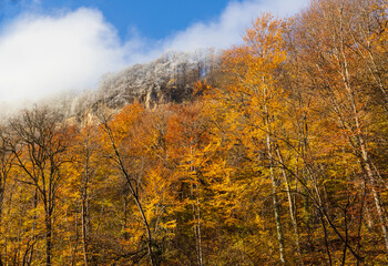 morning in a mountainous area, frost fell on the trees, the first rays of the sun awaken nature