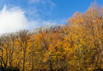 Fototapeta premium morning in a mountainous area, frost fell on the trees, the first rays of the sun awaken nature