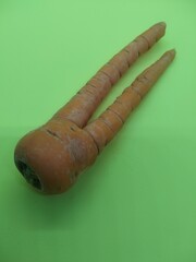 The isolated carrot is small and cute and looks like it has two legs