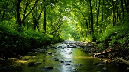 Obraz premium draage water in soil