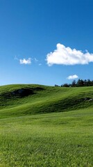 Fototapeta premium Bright Sunny Day Landscape with Lush Green Rolling Hills and Blue Sky