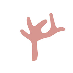 abstract coral shape