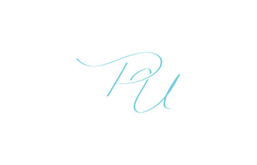 A minimal yet stylish depiction of white cursive lettering forming PU on a dark background, symbolizing elegance and simplicity.