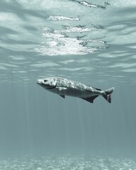 Fototapeta premium Swimming fish in clear waters underwater scene nature aquatic environment serene perspective