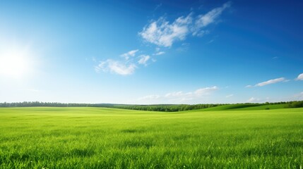 Obraz premium serene green grass field