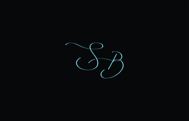 A minimal yet stylish depiction of white cursive lettering forming SB on a dark background, symbolizing elegance and simplicity.