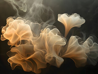 Obraz premium Ethereal abstract shapes resembling flowing smoke and soft petals