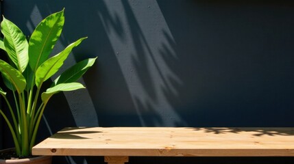 Sunlight Dappled Wooden Tabletop Beside Lush Green Plant Against a Dark Wall