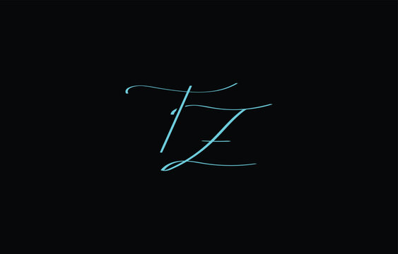 A minimal yet stylish depiction of white cursive lettering forming TZ on a dark background, symbolizing elegance and simplicity.
