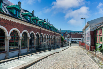 Bergen is a city on the southwest coast of Norway. It is surrounded by mountains and fjords,...