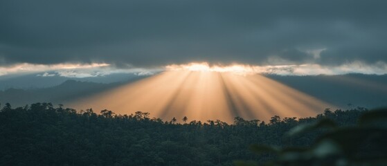 Golden Crepuscular Rays Over Lush Tropical Forest at Sunrise