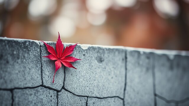 Vibrant Red Maple Leaf on a Cracked Concrete Surface – Autumn Symbolism and Contrast - Powered by Adobe