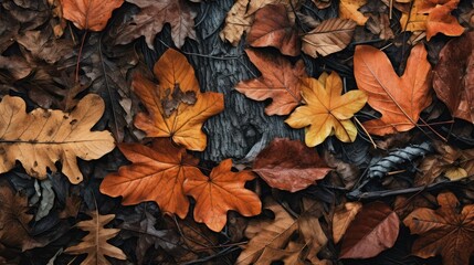 natural leaves border