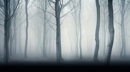 Obraz premium ethereal background of trees