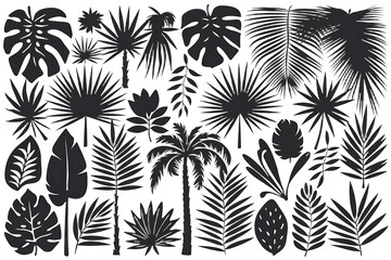 Fototapeta premium Black Silhouettes of Tropical Leaves, Palms & Trees – High-Quality PNG