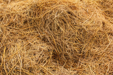 Full frame of straw, textured background of dry straw in an agricultural field, natural background of dry straw in a rice field