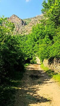 Springtime hiking in Selin village offers stunning green landscapes, fresh air, and a perfect chance to reconnect with nature in the heart of Kurdistan.
📍Selin (Slene), Hawraman Takht - Kurdistan 