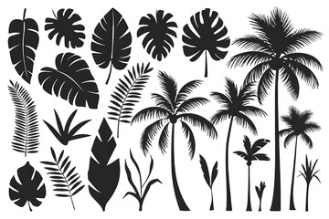 Black Silhouettes of Tropical Leaves, Palms & Trees – High-Quality PNG