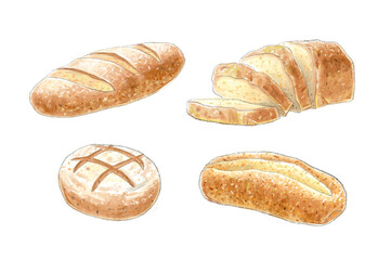 fresh baked bread water color hand drawing