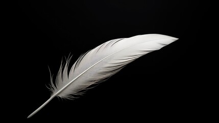 Obraz premium contrast black and white minimal