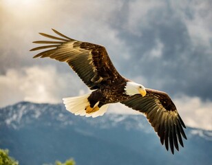 Fototapeta premium Observing a Majestic Eagle Soaring Gracefully Against a Dramatic Cloudy Sky with Sunlight Breaking Through the Clouds