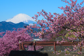 Japanese style is a unique blend of tradition and modernity, characterized by simplicity, elegance,...