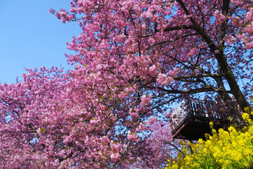 Japanese style is a unique blend of tradition and modernity, characterized by simplicity, elegance, and harmony with nature. It emphasizes minimalism, clean lines, and natural materials such as wood, 