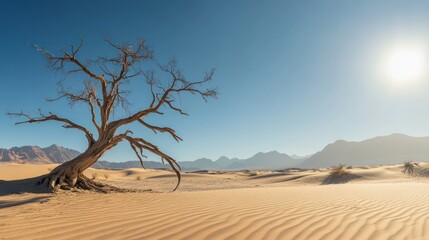 Lone desert tree, sunlit sand dunes, mountains background; landscape photography