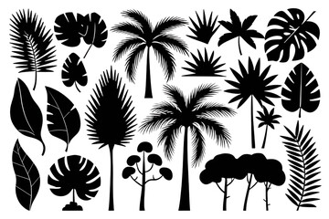 Black Silhouettes of Tropical Leaves, Palms & Trees &ndash; High-Quality PNG