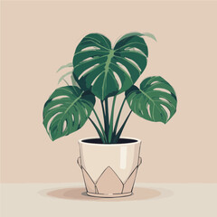Fototapeta premium plant in flowerpot
