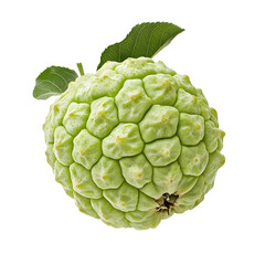 Sweet Green Sugar Apple Isolated on White Background