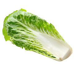 Crisp Green Iceberg Lettuce Wedge on a White Background