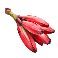 Ripe Red Banana Blossom Isolated on White Background