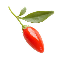 Ripe and Radiant Red Goji Berry on a Pristine White Background