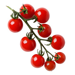 Closeup of a Juicy Red Cherry Tomato Quarter on a White Background