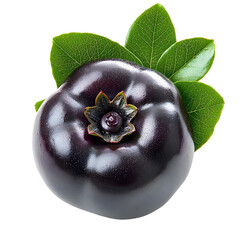 Ripe Chokeberry Aronia Berry Cluster with Green Leaves on White Background