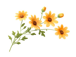 Naklejka premium A yellow daisy isolated on a transparent background.