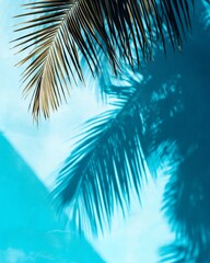 Fototapeta premium Palm tree leaves and shadow cast on a vibrant teal background.