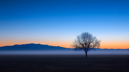 Solitary tree in misty field at dawn, mountains in background; peaceful nature scene